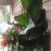 Cindy Baumann - Facebook
