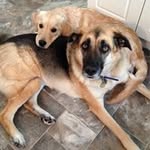 Cindy Beasley - @_cindy_beasley_ - Instagram