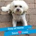 Cindy Clay Begley - Facebook