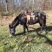 Cindy Beiler - Facebook