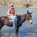 Cindy Beiler - @cindy.beiler.77 - Instagram