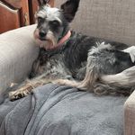 Cindy Belcher - @cindybelcher51 - Instagram