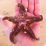 Cindy Lilly Benfield - @cindyau1 - Instagram