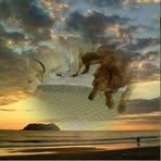 Cindy Benjamin - Facebook