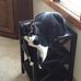 Cindy Bertsch - Facebook