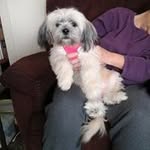 Cindy Betts - @cindybettsgrammy - Instagram