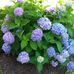 Cindy Betts - Facebook