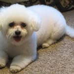 Cindy Betts - @cbetts365 - Instagram