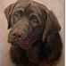 Cindy Bock - Facebook