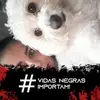 cindybock590 - @cindybock590 - TikTok