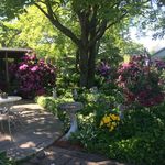 Cindy Bolduc - @cindy.gilbert.bolduc - Instagram