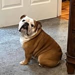 Cindy Boswell - @cindyboswell4 - Instagram