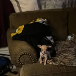 Cindy Boswell-Talbert - @boswelltalbert - Instagram