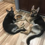Cindy BOWEN - @cindybowen543 - Instagram