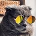 Cindy Bowser - Facebook
