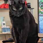 Cindy Newman Bowser - @bowser4011 - Instagram