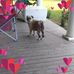 Cindy Boyd - Facebook