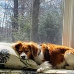 Cindy Boyle - @cindy.boyle.925 - Instagram