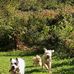 Cindy Boyle - Facebook