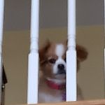 cindy brady - @cindybrady929 - Instagram