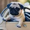 Cindy Brady - @cindy.brady55 - TikTok