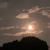 Cynthia Broadhurst - @cynthia.broadhurs - TikTok