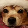 Cindy Brough - @cindy.brough - TikTok