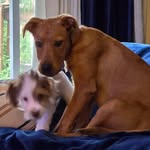Cindy Brough Gniech - @cindybgniech - Instagram