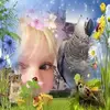 cindybrough856 - @cindybrough856 - TikTok