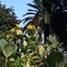 Cynthia Brough - Facebook