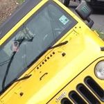 Cindy Broussard - @cindy.broussard.754 - Instagram