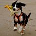 Cindy Broussard - Facebook
