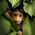 Cindy Buchanan - Facebook
