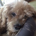Cindy Buck - @cindybuck108 - Instagram