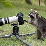 Cindy Buckley - @raccoon099 - Instagram