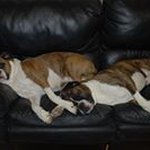 Cindy Buckley - @buckley2321 - Instagram