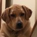 Cindy Burkhalter - Facebook