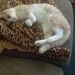 Cindy Burris - @cindy.burris.336 - Instagram