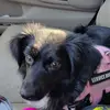 Cindy Burris - @cindy.burris75 - TikTok
