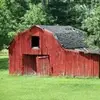 cindyburrisgonzal - @cindyburrisgonzal - TikTok