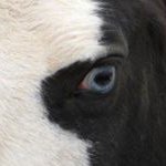 Cindy Butcher - @cindy.butcher - Instagram