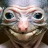 Cindy Caldwell - @cindycaldwell0 - TikTok