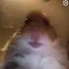 I’m 𝘾𝙞𝙣𝙙𝙮 😃 - @cindycaldwell64 - TikTok