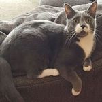 Cindy Canfield - @cbarney2 - Instagram