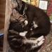 Cynthia Canfield - Facebook