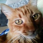 Cindy lynne canter - @cindylynnecanter - Instagram