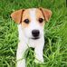 Cindy Carpenter - Facebook