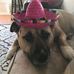 Cindy Carpenter - Facebook