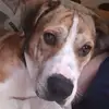 Cindy Carpenter Hicks - @cindy.carpenter.h - TikTok
