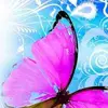 cindycarpenter595 - @cindycarpenter595 - TikTok